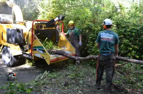 tree services Bonners Ferry